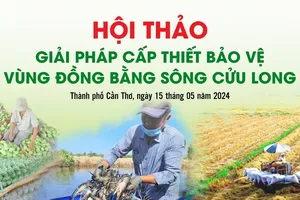 Giải pháp bảo vệ, phát triển bền vững vùng ĐBSCL 