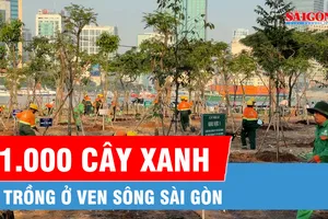 Trồng gần 1.000 cây xanh ven sông Sài Gòn