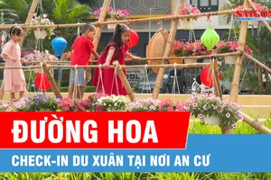 Check-in tết quê giữa lòng đô thị