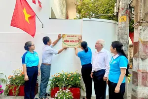 Phường Tân Bình ra mắt công trình “Tuyến hẻm 371 muôn sắc hoa”