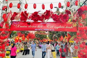 Lan tỏa yêu thương trong Ngày hội “Xuân đoàn kết – Tết nghĩa tình”