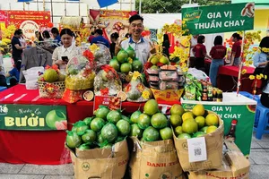 Hội xuân Bính Ngọ đầu tiên của phường Bảy Hiền