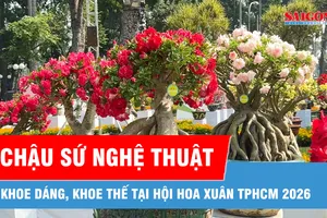 Trầm trồ trước vẻ đẹp hoa sứ tại Hội Hoa xuân TPHCM 2026