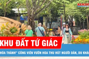 Khu đất tứ giác “hóa thành” công viên vườn hoa, người dân, du khách hồ hởi check-in tết