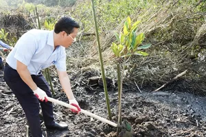 Xã Nhà Bè ra quân trồng 1.000 cây đước dọc các tuyến rạch