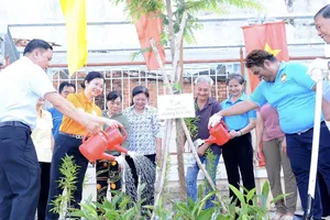 Phường Bình Tiên ra quân trồng 1.200 cây xanh, tạo cảnh quan đô thị