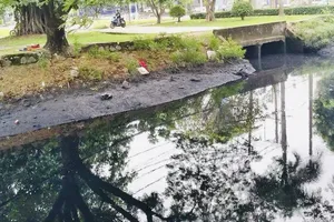 Tăng cường xử lý ô nhiễm kênh 19-5, duy tu 4 lần mỗi tháng