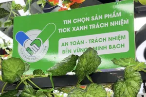 Triển khai mô hình “Suất ăn Tick xanh trách nhiệm” đến trường học