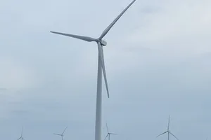 TPHCM rà soát 3 dự án điện gió gần bờ, tổng công suất 250MW