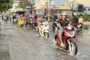 Huy động lực lượng gia cố bờ bao, ứng phó triều cường