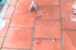 Bắt nghi phạm giết anh trai rồi bỏ trốn