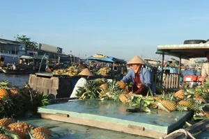  Sinh động ngày hội du lịch chợ nổi Cái Răng