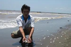 Nông dân lo lắng vì tình trạng nghêu chết