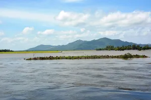 Nước lũ từ Campuchia chảy rất mạnh về vùng biên giới Tri Tôn. Ảnh: HUỲNH LỢI