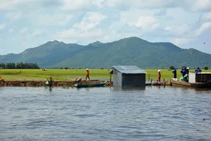 Hàng ngàn ha lúa thu đông ngoài đê bao ở An Giang bị lũ uy hiếp  