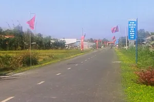 Nhiều mô hình sáng tạo trong xây dựng nông thôn mới ở Đồng Tháp 