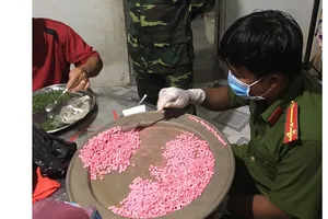 Lực lượng chức năng kiểm tra số ma tuy thu giữ 