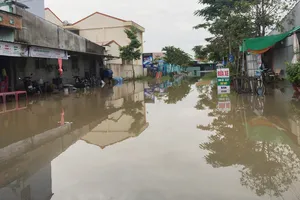 Hơn 2.500 căn nhà ở Vĩnh Long bị ngập do triều cường