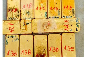 Truy nã 1 đối tượng và truy tìm 7 đối tượng liên quan vụ vận chuyển 51kg vàng 