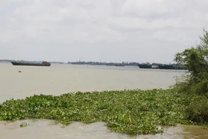 An Giang thông tin chính thức vụ trúng đấu giá mỏ cát 2.811 tỷ đồng