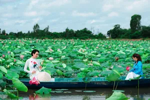 Tập trung thực hiện hiệu quả liên kết du lịch giữa TPHCM và ĐBSCL 