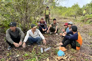Bắt quả tang 10 người ngang nhiên chặt phá rừng, bao chiếm đất ở Phú Quốc