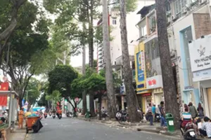 Từ nay đến 19-8, cấm ô tô lưu thông một số tuyến đường tại trung tâm TP