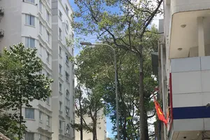 Bảo vệ cây xanh đô thị trong quá trình xây dựng công trình