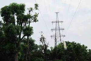 Thu hồi đất các công trình lưới điện cao áp không còn khai thác bán đấu giá