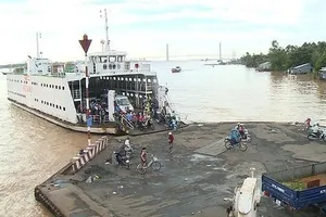 Phà Cát Lái vẫn duy trì hoạt động bình thường 