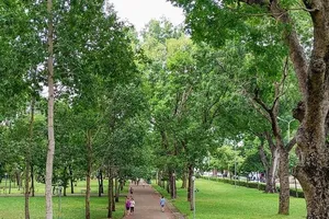 Thí điểm "Công viên an toàn giao thông" tại công viên Gia Định