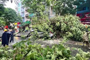 Khẩn trương khắc phục thiệt hại do mưa lớn, giông gió tại phường Đông Hòa