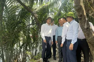 Phó Chủ tịch UBND TPHCM Bùi Xuân Cường cùng các sở, ngành kiểm tra thực địa Dự án cải tạo bờ Bắc Kênh Đôi. Ảnh: QUỐC HÙNG