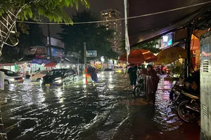 TPHCM kiểm tra toàn diện hệ thống chiếu sáng công cộng, tủ điện, trụ đèn