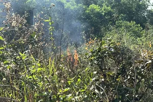 TPHCM tăng cường bảo vệ phòng cháy, chữa cháy rừng