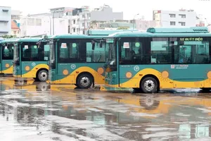 Đề xuất ban hành định mức để đấu thầu xe buýt điện nhỏ và trung bình ở TPHCM