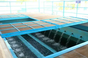 TPHCM: 100% hộ dân nông thôn sử dụng nước hợp vệ sinh