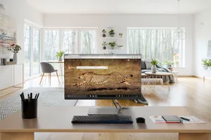 Lenovo ra mắt loạt màn hình cao cấp cho chơi game và giải trí