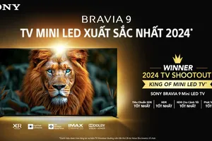Sony với hai giải thưởng “King of TV 2024”.