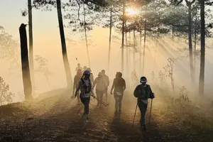 Dalat Ultra Trail là một giải Marathon địa hình được tổ chức hàng năm, thu hút hàng ngàn vận động viên tham gia