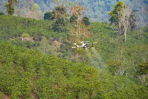 UAV do FPT và Trường Thịnh Drone bay thử nghiệm phun thuốc cây cà phê khu vực hồ Ảng Cang, bản Mánh Đanh, xã Mường Ảng, tỉnh Điện Biên.
