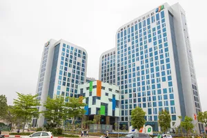 FPT đã cung cấp nhiều dịch vụ đến các thị trường quốc tế