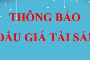 THÔNG BÁO ĐẤU GIÁ TÀI SẢN