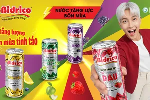 Năng lượng mới cho giới trẻ từ bộ sưu tập Tăng lực Bidrico 4 mùa