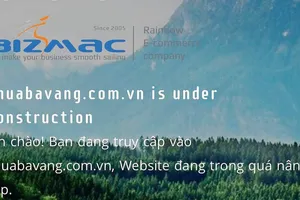 Tạm dừng hoạt động một số website liên quan tới chùa Ba Vàng