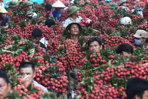 Những khoảnh khắc vàng cùng “Dấu ấn“