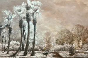 Ngỡ ngàng với những giai điệu sắc màu của Tiến sĩ Mỹ học Thế Hùng