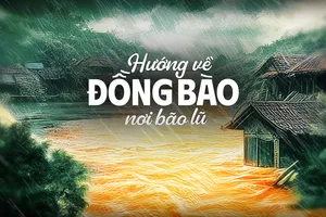 Nhiều chương trình truyền hình trực tiếp hướng về đồng bào vùng bão lũ