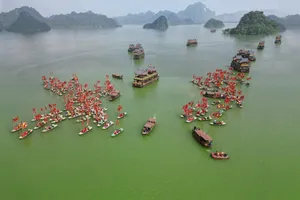 Miễn phí ăn chay, thuyền, xe điện khi đến chiêm bái xá lợi Đức Phật tại chùa Tam Chúc