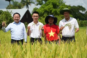 Đoàn làm phim cùng các chuyên gia Việt Nam trên cánh đồng trĩu hạt ở Cu Ba